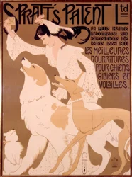 Poster Advertising for Dog Food
