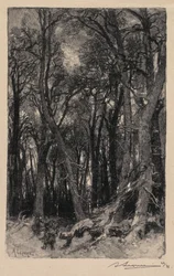 Fontainebleau Forest: Bas-Bréau