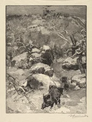 Fontainebleau Forest: Cuvier-Châtillon Cliff