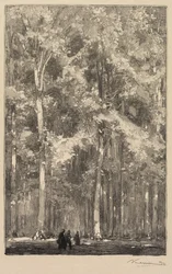 Fontainebleau Forest: Morning, Crossroads of the Route of the Forts de Marlotte