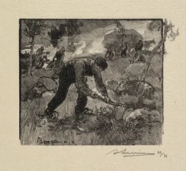 Fontainebleau Forest: Pulling the Heather