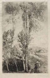 The Little Pond