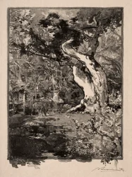 Le Clovis, Plateau de Bellecroix, 1890