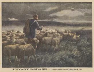 Fleeing the Storm
