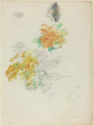 Studies of Trees
