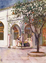 Fountain in Courtyard of the Great Mosque, Algiers