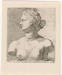 Bust of Venus de