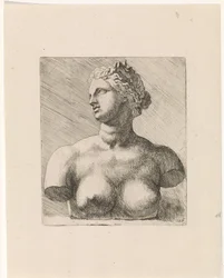 Bust of Venus de