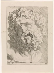 Head of Laocoön