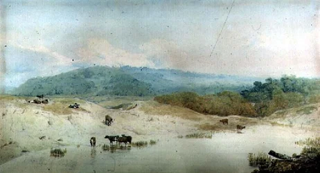 View in Yorkshire, River and Cattle