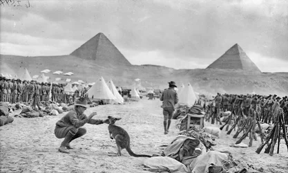Lines of the Australian 9th and 10th Battalions at Mena Camp, Looking Towards the Pyramids, December 1914