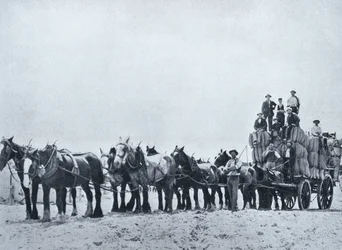 Wool Carrying Team, Western Australia, from 