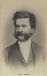 Portrait of Johann Strauss II