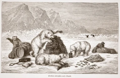 Polar bears attacking our luggage, pub. Vienna 1876