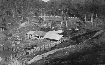 Criacao Farm