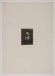Head of an Old Man with a Beard