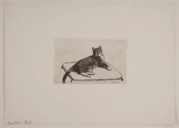 Lying Cat