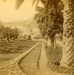 Monte Carlo, looking from the Casino, 1897