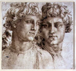 Study of Heads