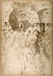 Three male heads juxtaposed