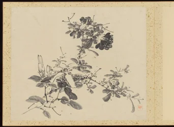 Refined Elegance in the Four Seasons, Album of Flower Paintings
