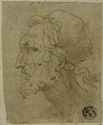 Male Head in Profile