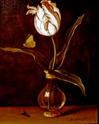 A Single Tulip in a Vase