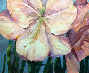 Amaryllis 1