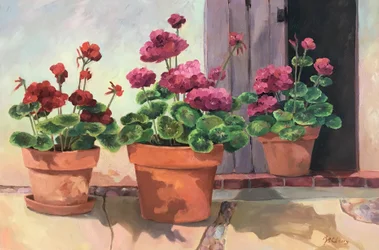 Geranium Series 2