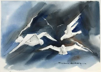 Seagulls