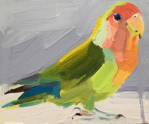 Lovebird