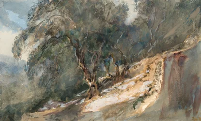 Landscape: Trees with Gnarled Trunks