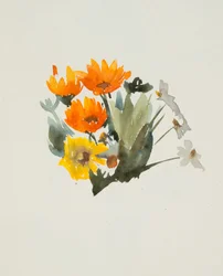 Orange Flowers
