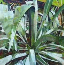 Lush Green Agave