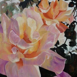 Pink and Orange Roses