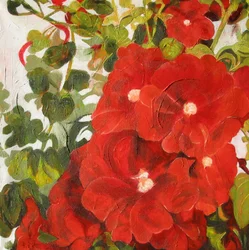 Vibrant Red Blooms