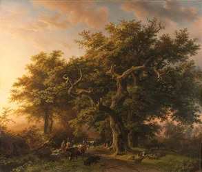 Forest Scene