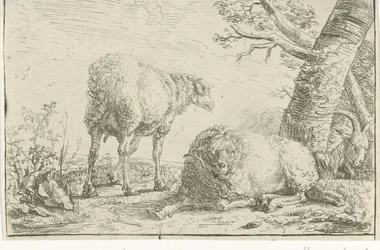 Two Sheep and a Goat