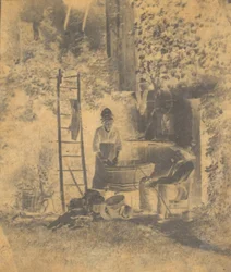 The Laundry
