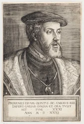 Portrait of Emperor Charles V