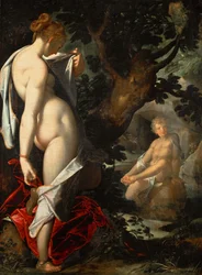 The Nymph Salmacis and Hermaphroditus
