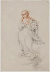 The Immaculate Conception, Virgin Mary