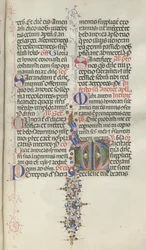 Missale: Fol. 260: Foliage with Fruit