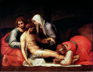 The Deposition