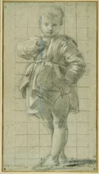 A Young Boy Standing