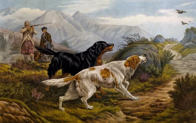 Grouse hunting