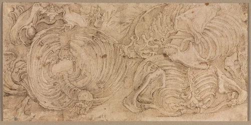 Rib Cages, early 1540s