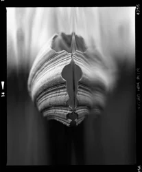 Abstract Organic Layers