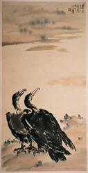 Two Cormorants