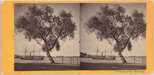Willow Tree. Planted by Com. Perry and Other Survivors of the Battle of Lake Erie, to Mark the Burial Place of the Slain.